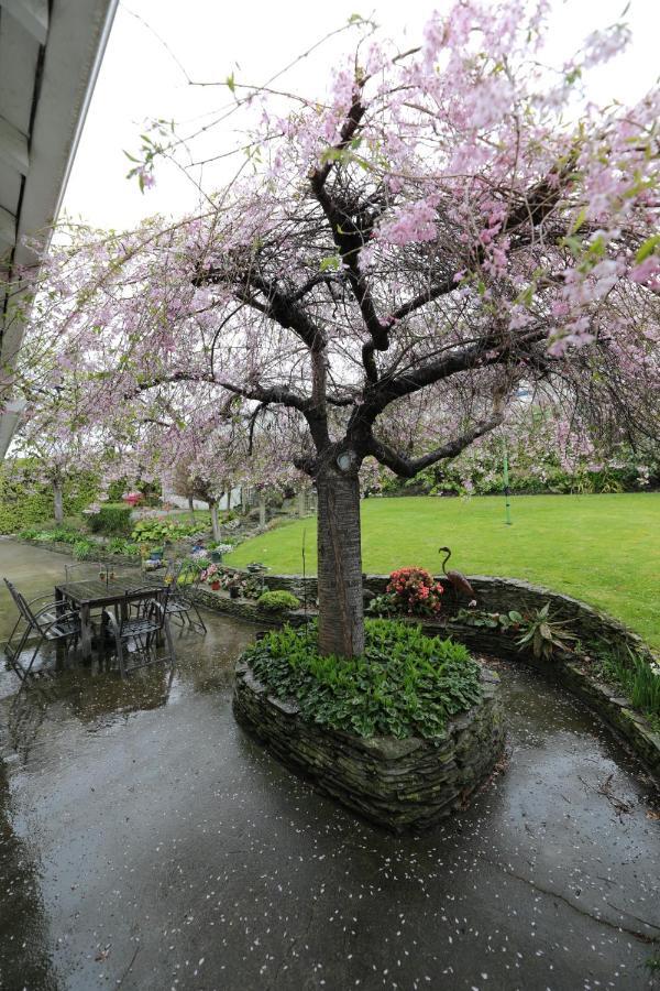 Oasis On Orwell Bed And Breakfast Oamaru Exterior foto